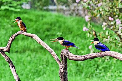 《大富翁》再出新作，新模式支持开黑合作，棋牌游戏也有团本？